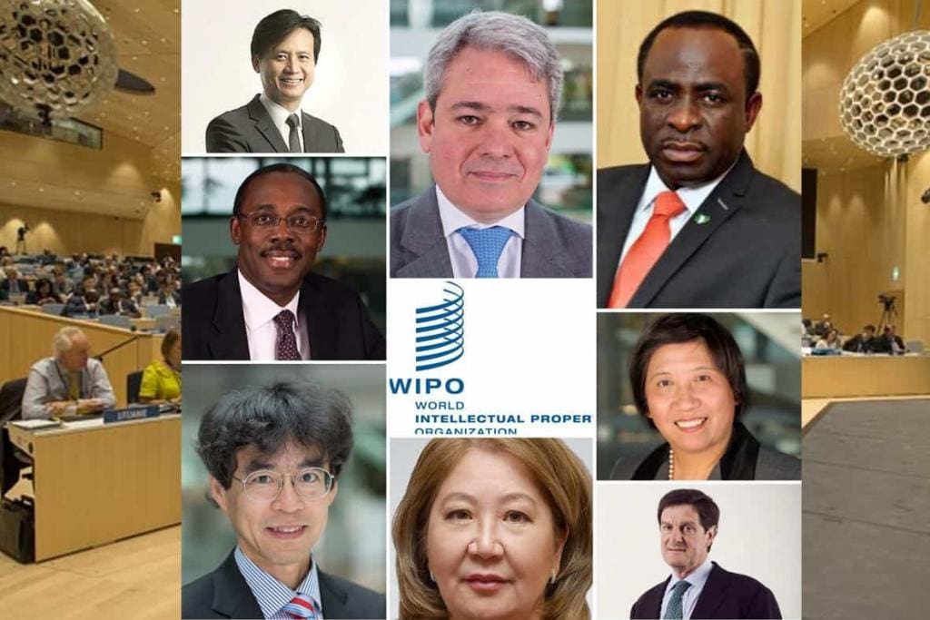 Importance of WIPO’S 2020 election for INGO’S